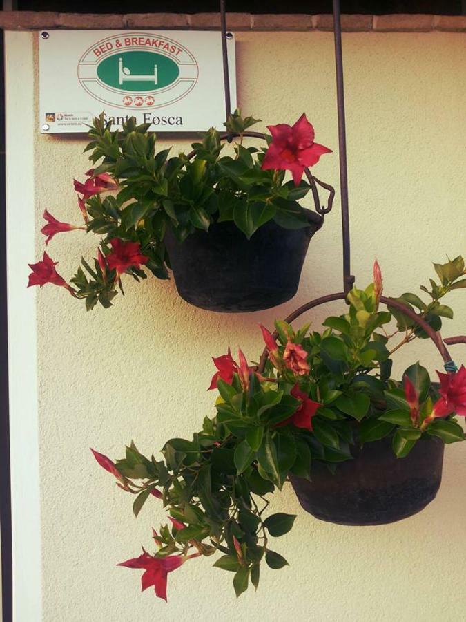 B&B Santa Fosca Pederobba Exterior foto