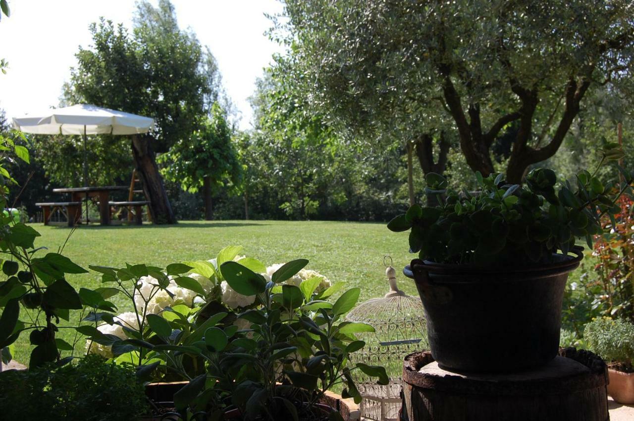 B&B Santa Fosca Pederobba Exterior foto